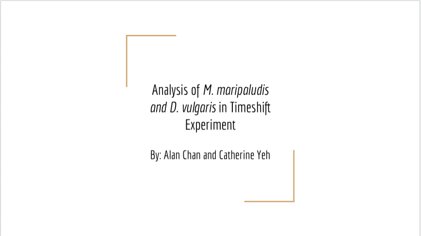 Analysis of M. mari plaudits and D. vulgaris in Timeshift Experiment Poster